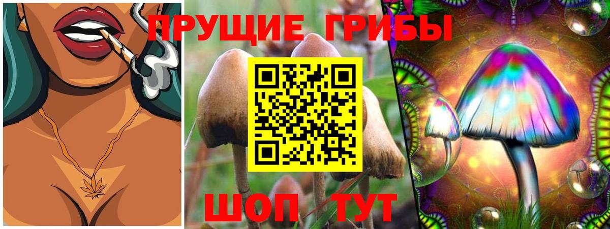сколько стоит  Галлюциногенные грибы прущие грибы  Вход с VPN  Отрадное 